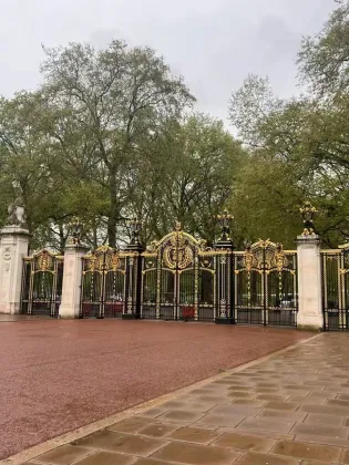 wrought iron entry doors, custom iron doors