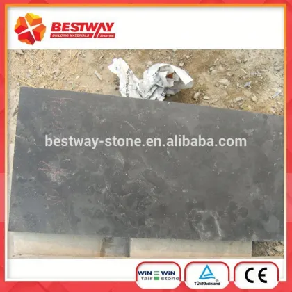 Fossil Brown Limestone Marble