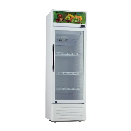 256L LED Display Single Door Showcase for Pepsi Beverage Cooler from Chinese Manufacturer