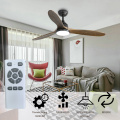 ESC Lighting ceiling fan for home bathroom