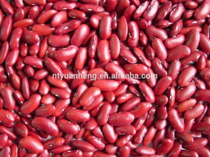 cannned Red kidney beans white kidney bean chinese kidney beans