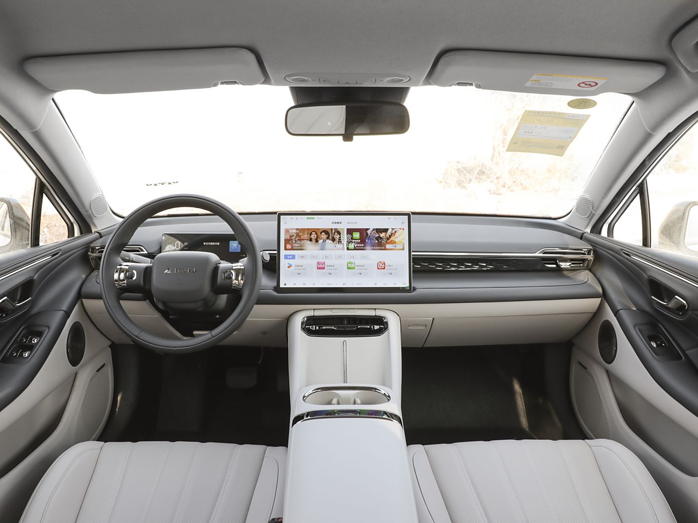 Pure Electric SUV