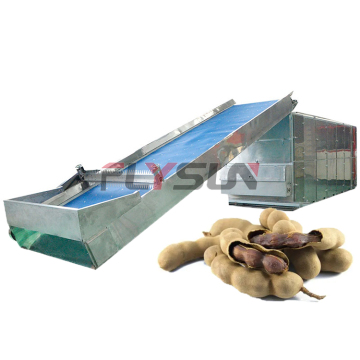 High Capacity Tamarind Hot Air Drying Machine - Factory Fruit Dehydration Equipment