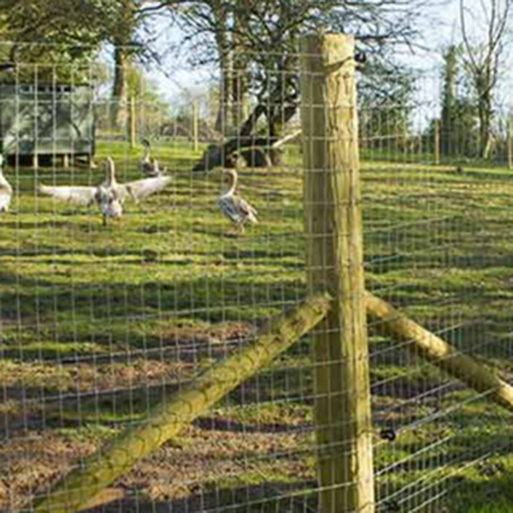Poultry Mesh