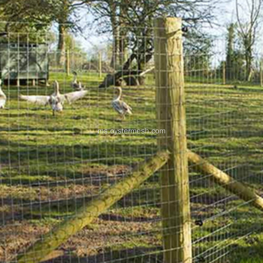 HDPE Poultry Netting Chicken Wire Fence