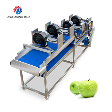 Dewatering Dehydrator Food Equipment Vegetable Mesh Belt Drying Machine TS-FX35