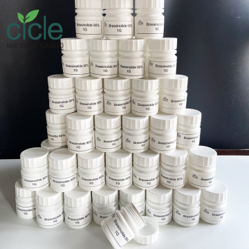 Brassinolide 24-Epi-brassinolide 90% 24br