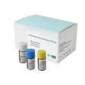 PCR Reagents Monkeypox Virus Detection Rapid Test Manufactory