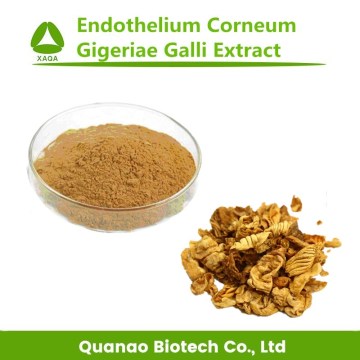 Endothelium Corneum Gigeriae Galli Extract Powder 10:1