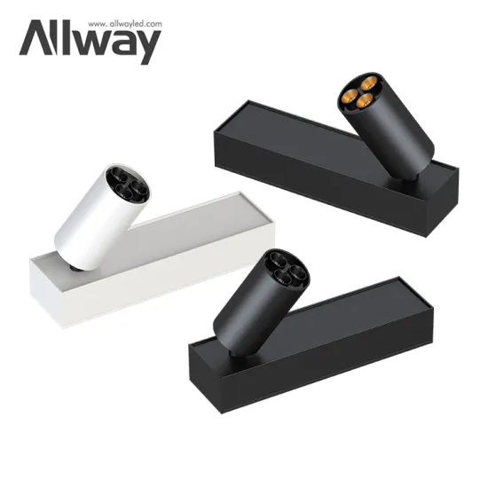 ALLWAY Modern Design Ceiling Light: Dimmable LED Track Spot Light - Surface Mounted