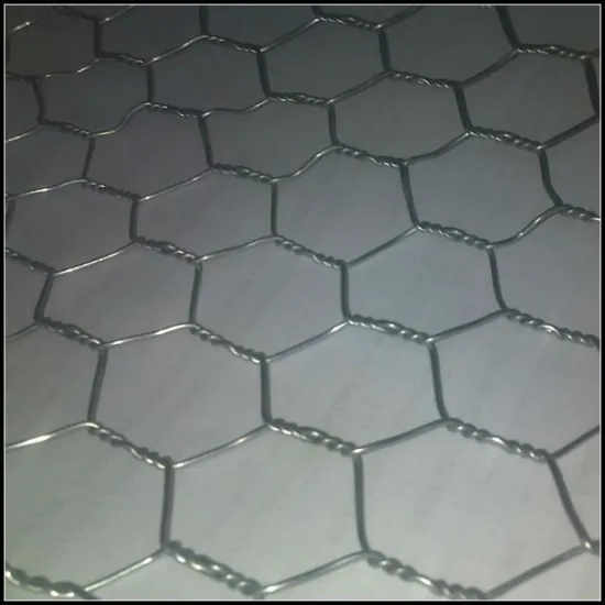 hot dip galvanized hexagonal wire netting