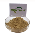 Premium Chuan Chenpi Extract for Natural Wellness