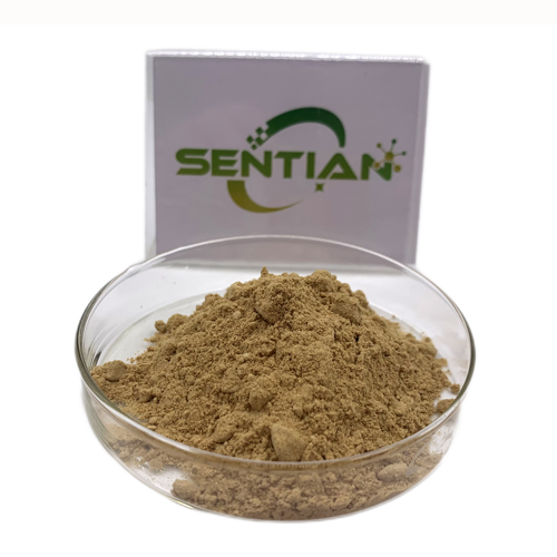 Premium Chuan Chenpi Extract for Natural Wellness