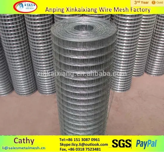 Hebei factory supply galvanized welded wire mesh(High quality)