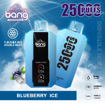 Wholesale high quality Bang 25000 Puff vape