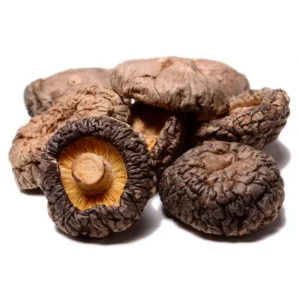 Dried Mushroom Shiitake Fungus