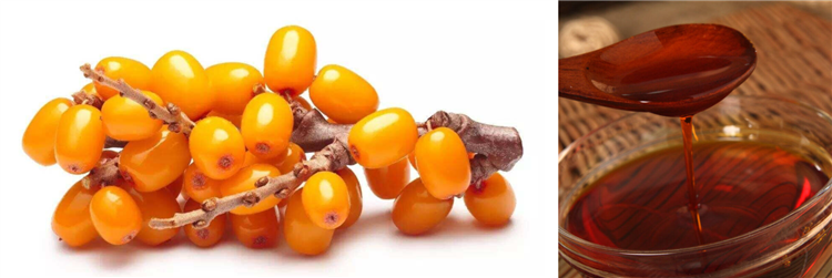 Sea buckthorn fruit oil 4