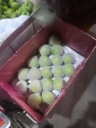 Orgin fresh Green Granny Smith apples