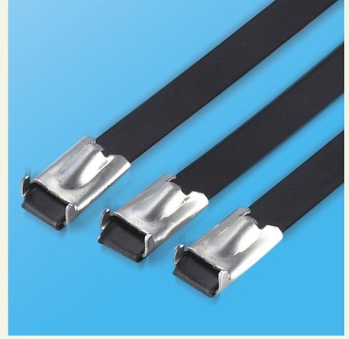 4.6*150 MM China 304/316 Stainless Steel PVC Coated Cable Ties