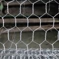 Malha de arame hexagonal galvanizado para rede de frango