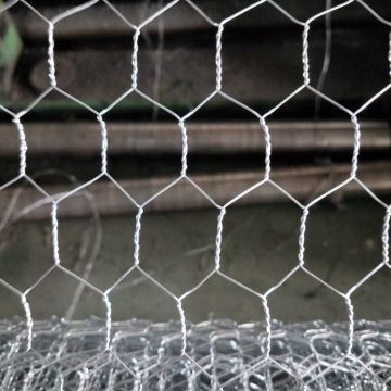 Malla de alambre de pollo galvanizada hexagonal de alta calidad