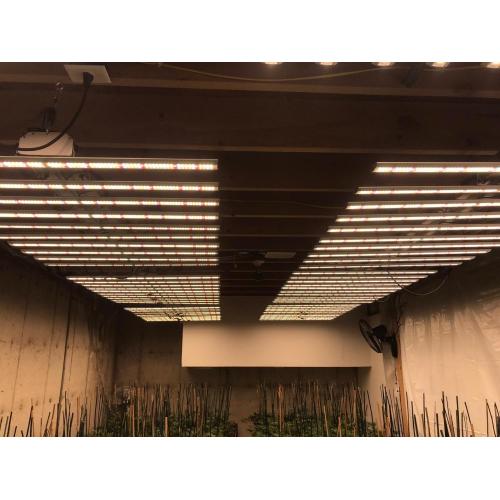 Luz de cultivo LED de control inteligente para fábrica de plantas