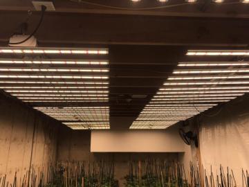 Samsung lm301b Led Grow Lights Strip 800w