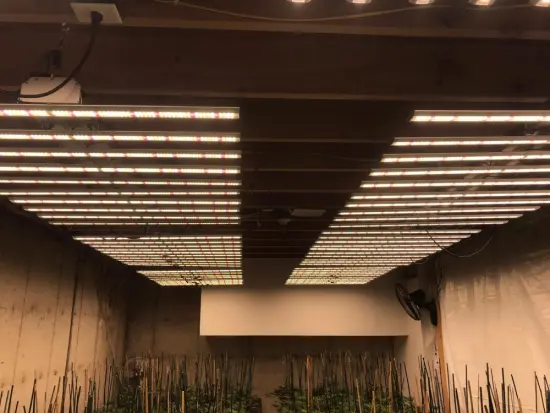 Samsung lm301b Led Grow Lights Strip 800w