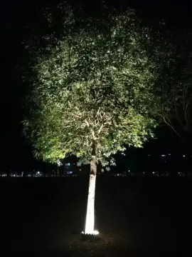 Waterproof Hug Tree garden Light