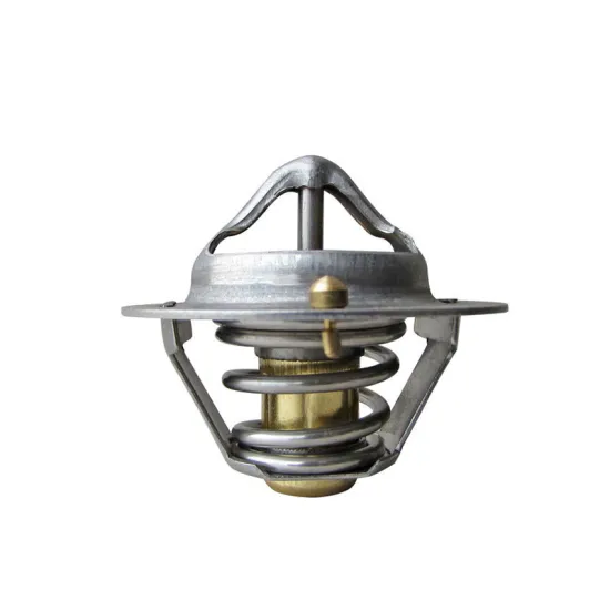 High Quality Factory Wholesale Thermostat Temperature Controller 2550011200 For Hyundai