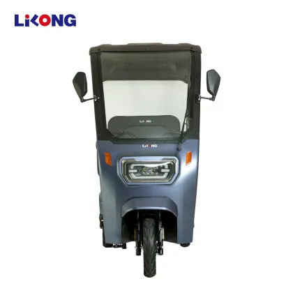 Lilong City Electric Bike E-Bike E Battery