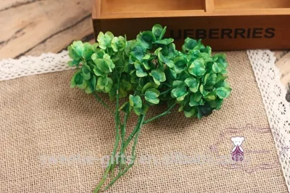 preserved butterfly flower