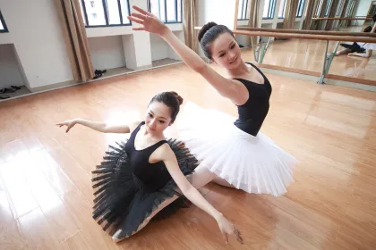 D005835 Dttrol classical ballet dance skirts ladies ballet tutu girls tutu dress