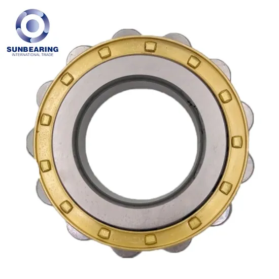 RN206 Cylindrical Roller Bearing With Brass Cage