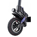 Electric Scooter Commuter 10 Inch Air Tyre