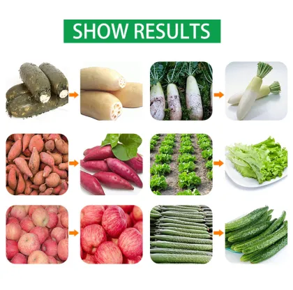 Commercial Vegetable and Fruit Cleaning Solutions