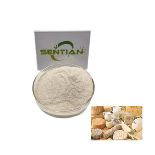 Microbial Rennet for cheese kluyveramises chymosin Rennet