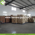 Factory Supply Nutrition Dried Lycium Berries