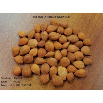 Bitter Apricot Kernels