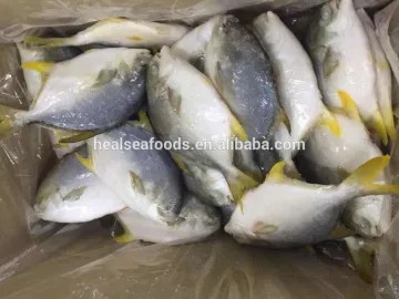 New catching frozen whole round red pomfret black pomfret on sales