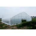 Single tunnel greenhouse plastic shed for vegetables