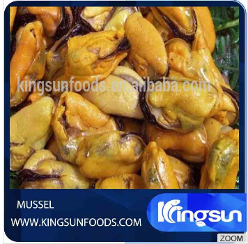 IQF Frozen Mussel Meat Without Shell