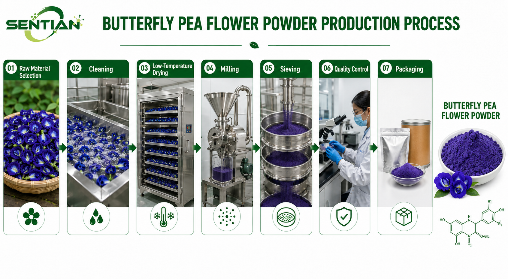 Butterfly pea flower powder1