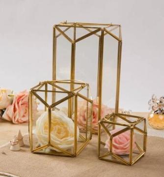 glass terrarium