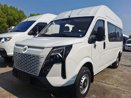 High Top Delivery LHD Diesel Vans: Manufacturer and Wholesale Supplier