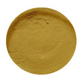 Buy online Rhizoma Phragmitis Extract powder