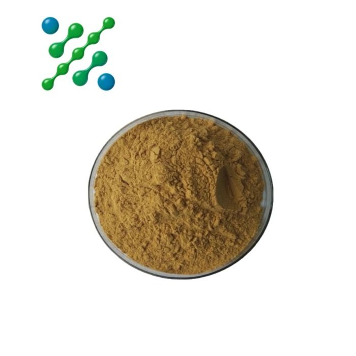 Green Lipped Mussel Extract Powder