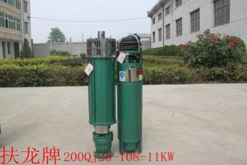 electric 200QJ standard deep well submersible pump