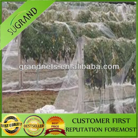 Insect netting/greenhouse covers insect screen mesh/insect net for bees proof