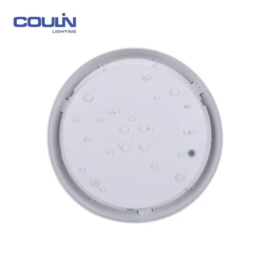 High Quality Widely Use 16 Inch Led Ceiling Light